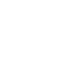 Platinum System Guarantee